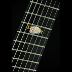 [d:gtar] Project 7 Strings