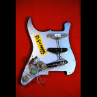 Battipenna Completo -Black Strat-