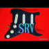 Complete SRV pickguard